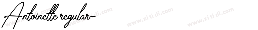 Antoinette regular字体转换